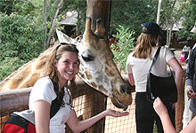 Nairobi Giraffe Centre