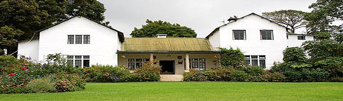 Kiambethu Tea Farm In Limuru.