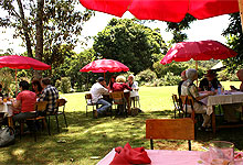 Kiambethu tea farm lunch