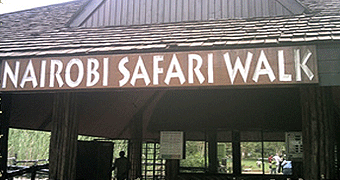 Nairobi Safari Walk