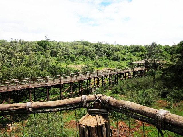 Nairobi Safari Walk